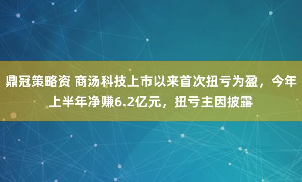 鼎冠策略资 商汤科技上市以来首次扭亏为盈，今年上半年净赚6.2亿元，扭亏主因披露